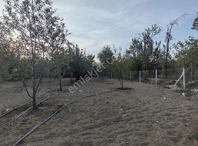 Arsa-Konut İmarlı