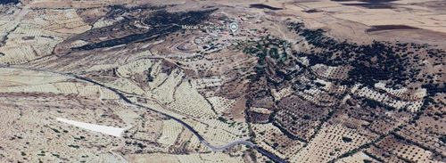 Arsa-Arazi