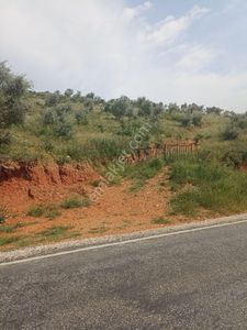 Arsa-Arazi