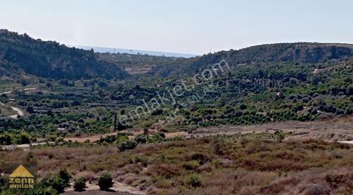 Arsa-Tarla