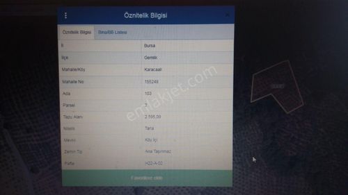 Arsa-Zeytinlik