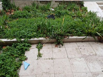 Arsa-Villa İmarlı