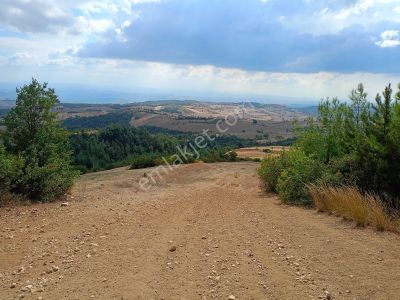 Arsa-Bağ & Bahçe