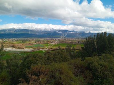 Arsa-Tarla