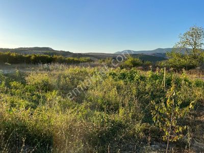 Arsa-Toplu Konut İçin