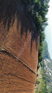 Muğla Seydikemer Bağlıağac Tarla Açıklamayı Okuyun