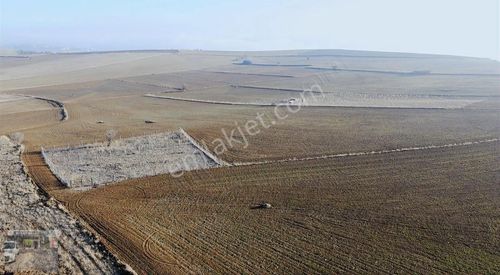 --nenek Te Toki Ve Üniversite Projesine Yakın Yatırımın Fırsatı-