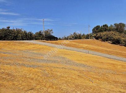 Arsa-Konut İmarlı