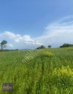 Arsa-Tarla