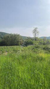 Arsa-Konut İmarlı
