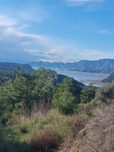 Muğla Ortaca Gökbelde Deniz Ve Göl Manzaralı Satılık 3500 M2 Tarla