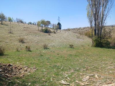 Arsa-Bağ & Bahçe