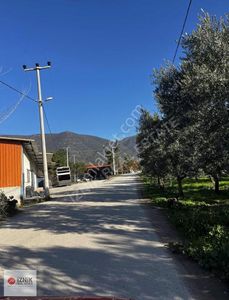 Arsa-Tarla