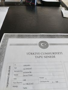Arsa-Bağ & Bahçe