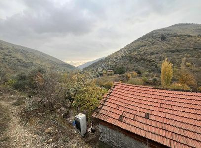 Arsa-Tarla