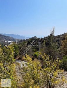 Arsa-Tarla