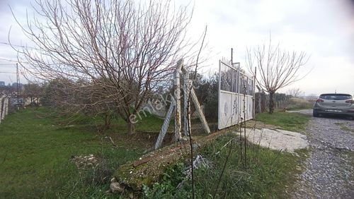 Arsa-Bağ & Bahçe