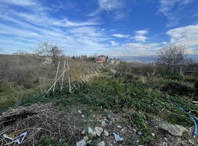 Arsa-Konut İmarlı