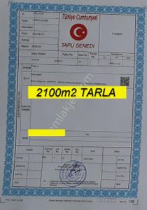 Arsa-Tarla