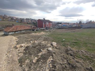 Arsa-Konut İmarlı