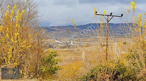 Arsa-Konut İmarlı