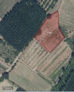 Arsa-Tarla