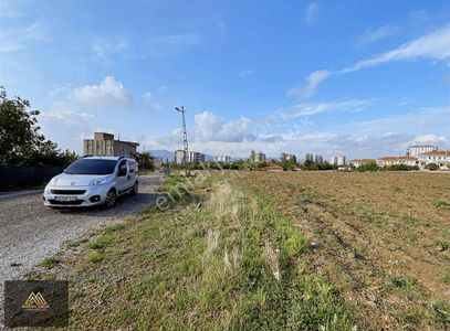 Arsa-Konut İmarlı