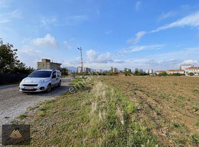 Arsa-Konut İmarlı