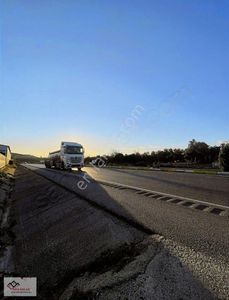 Arsa-Zeytinlik