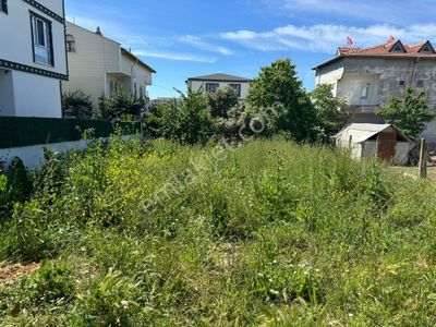 Arsa-Villa İmarlı