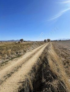 Arsa-Tarla