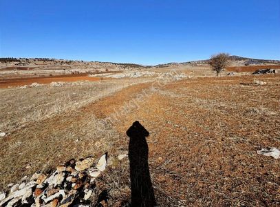 Arsa-Tarla