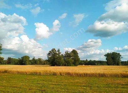 Arsa-Tarla