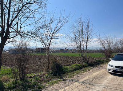 Arsa-Tarla