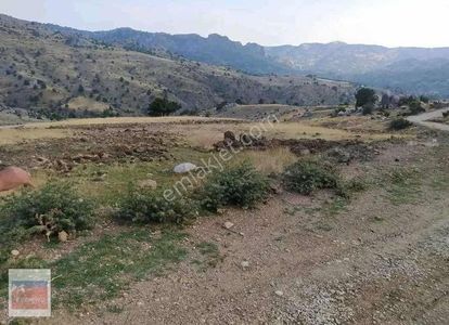 Arsa-Konut İmarlı