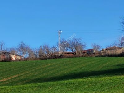 Arsa-Tarla