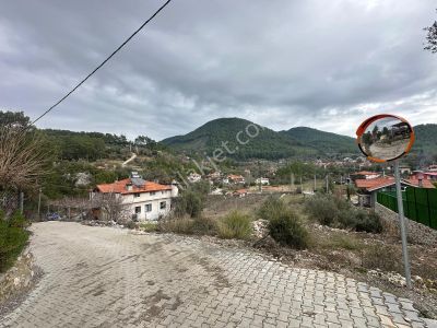 Arsa-Tarla