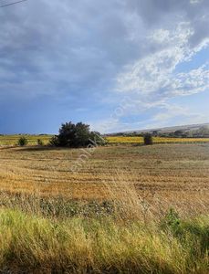 Arsa-Tarla