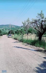 Arsa-Bağ & Bahçe