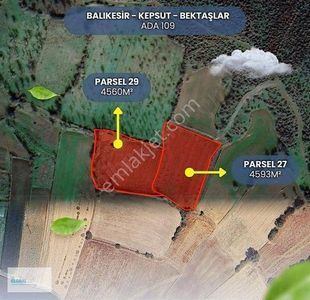 Arsa-Tarla