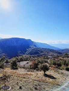 Arsa-Tarla