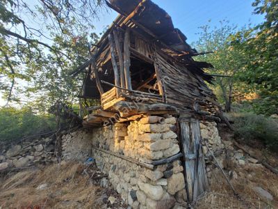 Arsa-Bağ & Bahçe