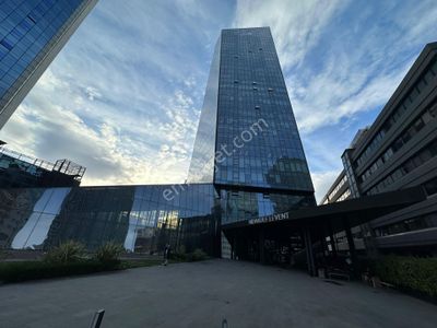 İşyeri-Plaza Katı