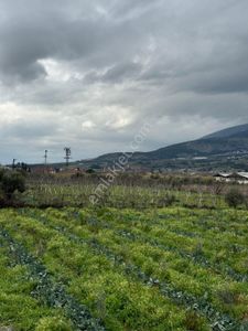 Arsa-Bağ & Bahçe