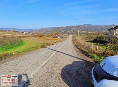 Arsa-Tarla