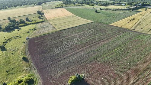 Arsa-Tarla