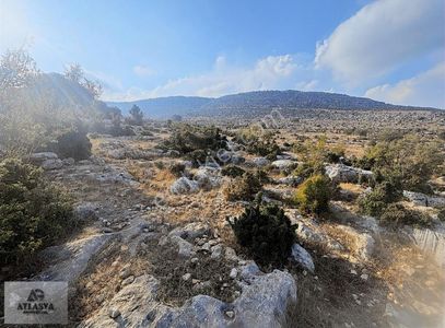 Arsa-Villa İmarlı