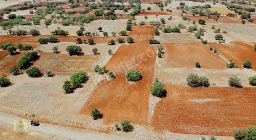 Arsa-Tarla