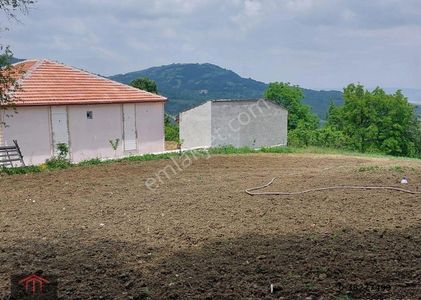 Arsa-Tarla