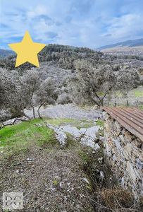 Arsa-Konut İmarlı
